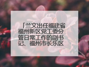 兰文出任福建省福州新区党工委分管日常工作的副书记、福州市长乐区委书记