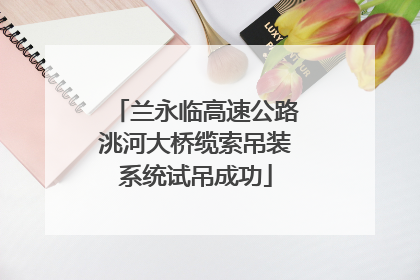 兰永临高速公路洮河大桥缆索吊装系统试吊成功
