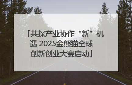 共探产业协作“新”机遇 2025金熊猫全球创新创业大赛启动