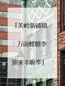 关岭新铺镇：万亩蜂糖李迎来丰收季