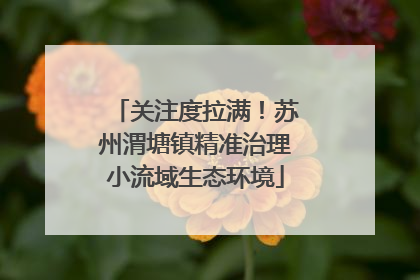 关注度拉满！苏州渭塘镇精准治理小流域生态环境