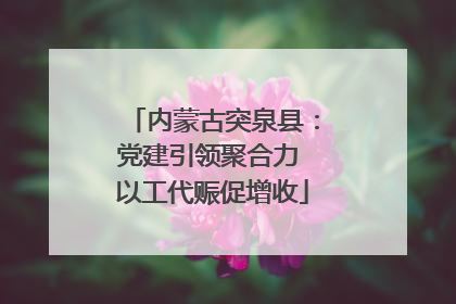 内蒙古突泉县：党建引领聚合力 以工代赈促增收