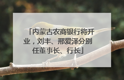 内蒙古农商银行将开业，刘丰、邢爱泽分别任董事长、行长
