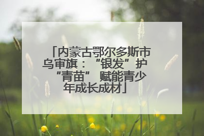 内蒙古鄂尔多斯市乌审旗：“银发”护“青苗” 赋能青少年成长成材