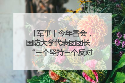 军事｜今年香会，国防大学代表团团长“三个坚持三个反对”说明了什么？