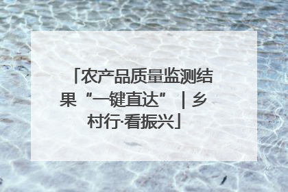 农产品质量监测结果“一键直达”｜乡村行·看振兴
