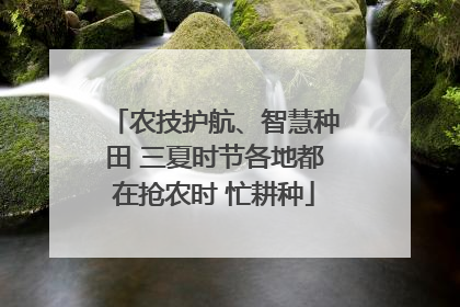 农技护航、智慧种田 三夏时节各地都在抢农时 忙耕种