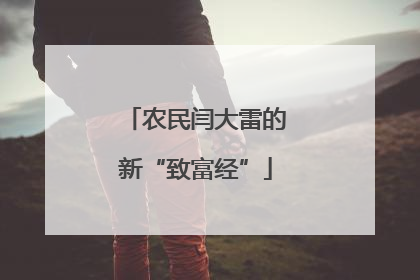 农民闫大雷的新“致富经”