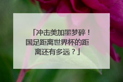 冲击美加墨梦碎！国足距离世界杯的距离还有多远？