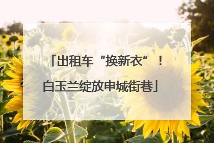 出租车“换新衣”！白玉兰绽放申城街巷