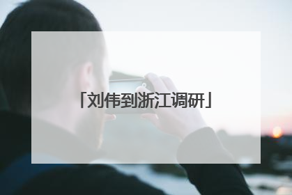 刘伟到浙江调研