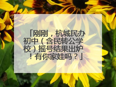 刚刚，杭城民办初中（含民转公学校）摇号结果出炉！有你家娃吗？