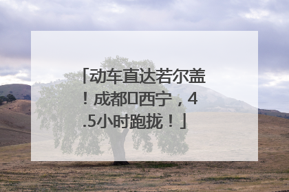 动车直达若尔盖！成都⇄西宁，4.5小时跑拢！