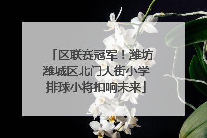 区联赛冠军！潍坊潍城区北门大街小学排球小将扣响未来