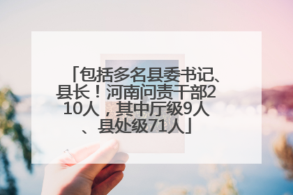 包括多名县委书记、县长！河南问责干部210人，其中厅级9人、县处级71人