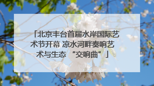 北京丰台首届水岸国际艺术节开幕 凉水河畔奏响艺术与生态 “交响曲”