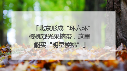北京形成“环六环”樱桃观光采摘带，这里能买“明星樱桃”
