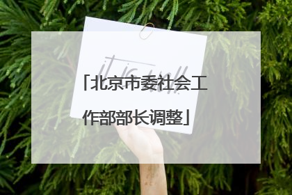北京市委社会工作部部长调整