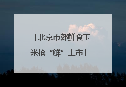 北京市郊鲜食玉米抢“鲜”上市