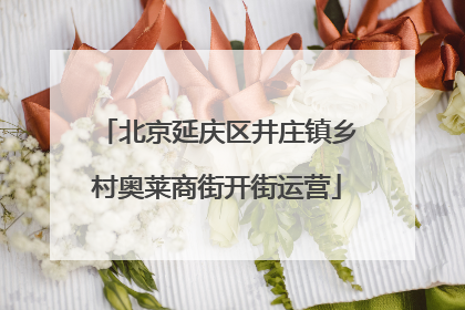 北京延庆区井庄镇乡村奥莱商街开街运营