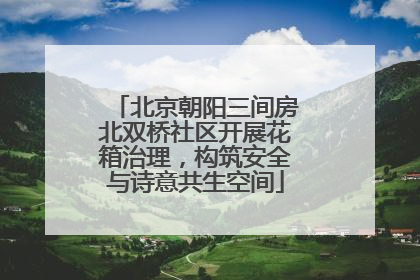 北京朝阳三间房北双桥社区开展花箱治理，构筑安全与诗意共生空间