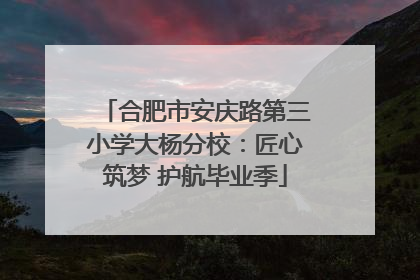 合肥市安庆路第三小学大杨分校：匠心筑梦 护航毕业季