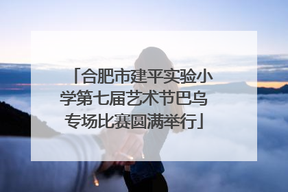 合肥市建平实验小学第七届艺术节巴乌专场比赛圆满举行