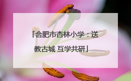 合肥市杏林小学：送教古城 互学共研