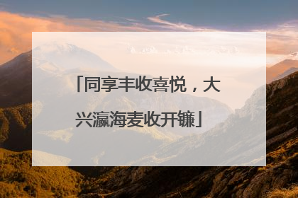 同享丰收喜悦，大兴瀛海麦收开镰