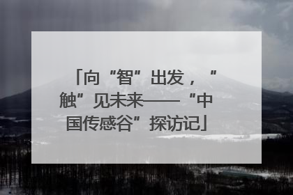 向“智”出发，“触”见未来——“中国传感谷”探访记