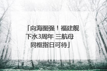 向海图强！福建舰下水3周年 三航母同框指日可待