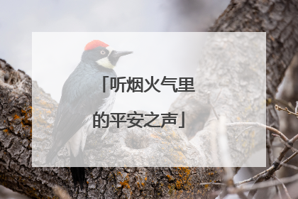 听烟火气里的平安之声