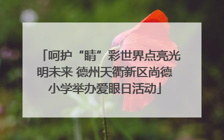 呵护“睛”彩世界点亮光明未来 德州天衢新区尚德小学举办爱眼日活动
