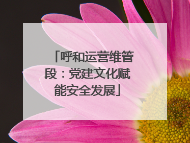 呼和运营维管段：党建文化赋能安全发展