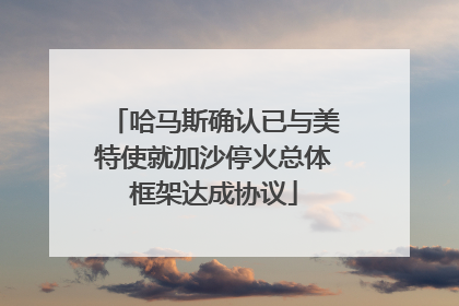 哈马斯确认已与美特使就加沙停火总体框架达成协议