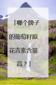 哪个牌子的葡萄籽原花青素含量高？
