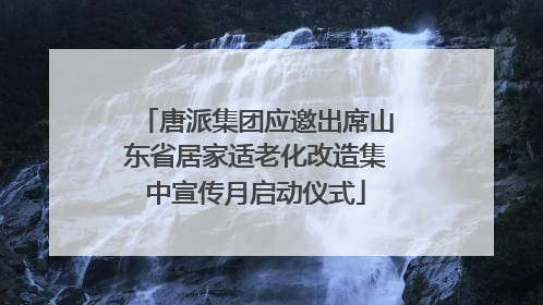 唐派集团应邀出席山东省居家适老化改造集中宣传月启动仪式