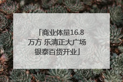 商业体量16.8万方 乐清正大广场银泰百货开业