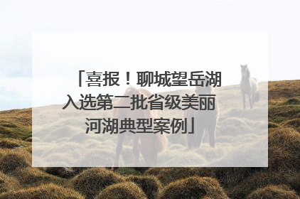 喜报！聊城望岳湖入选第二批省级美丽河湖典型案例