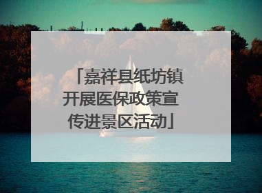 嘉祥县纸坊镇开展医保政策宣传进景区活动