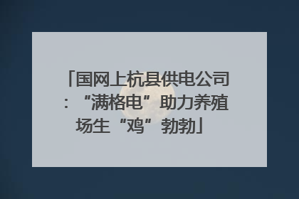 国网上杭县供电公司：“满格电”助力养殖场生“鸡”勃勃