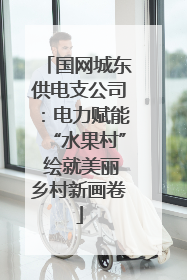 国网城东供电支公司：电力赋能“水果村” 绘就美丽乡村新画卷