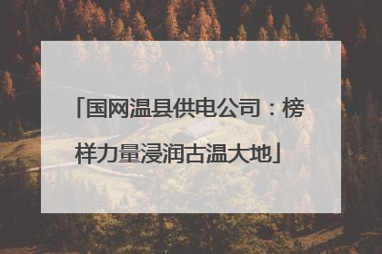 国网温县供电公司：榜样力量浸润古温大地