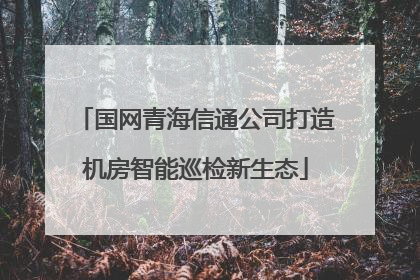 国网青海信通公司打造机房智能巡检新生态
