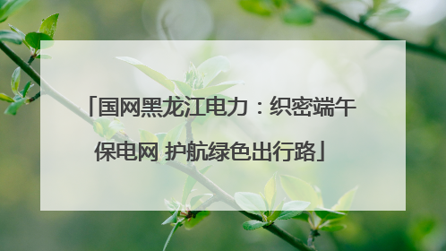 国网黑龙江电力：织密端午保电网 护航绿色出行路
