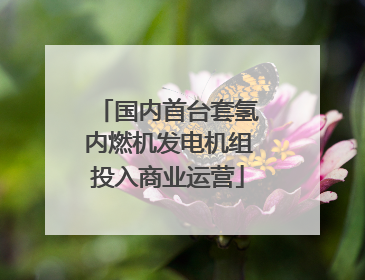 国内首台套氢内燃机发电机组投入商业运营