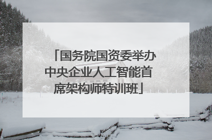 国务院国资委举办中央企业人工智能首席架构师特训班