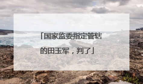 国家监委指定管辖的田玉军，判了