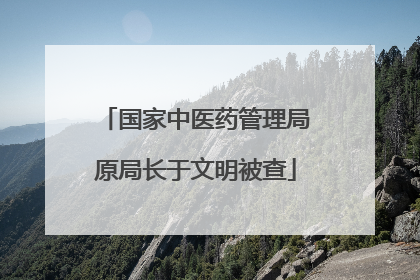 国家中医药管理局原局长于文明被查
