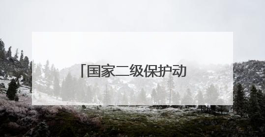 国家二级保护动物白鹭惊现石城镇水堡子村河道